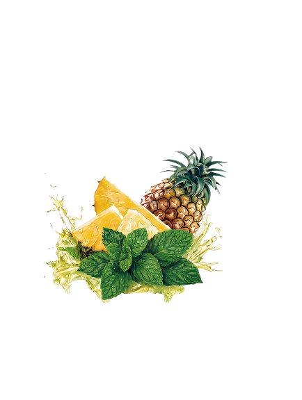 Bouteille Ananas Menthe